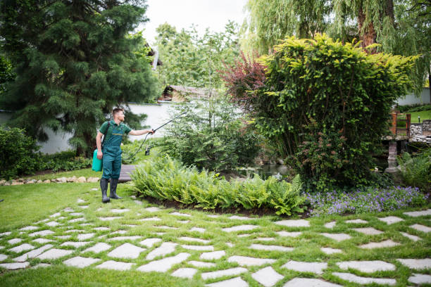 Best Tree Trimming and Pruning  in Elsmere, KY